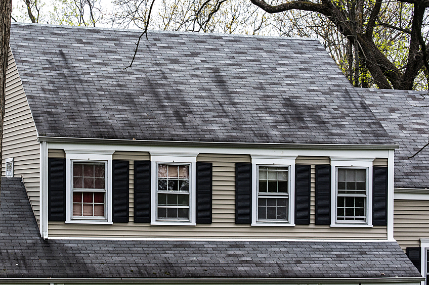 GAF StainGuard Plus for Roof Algae Removal