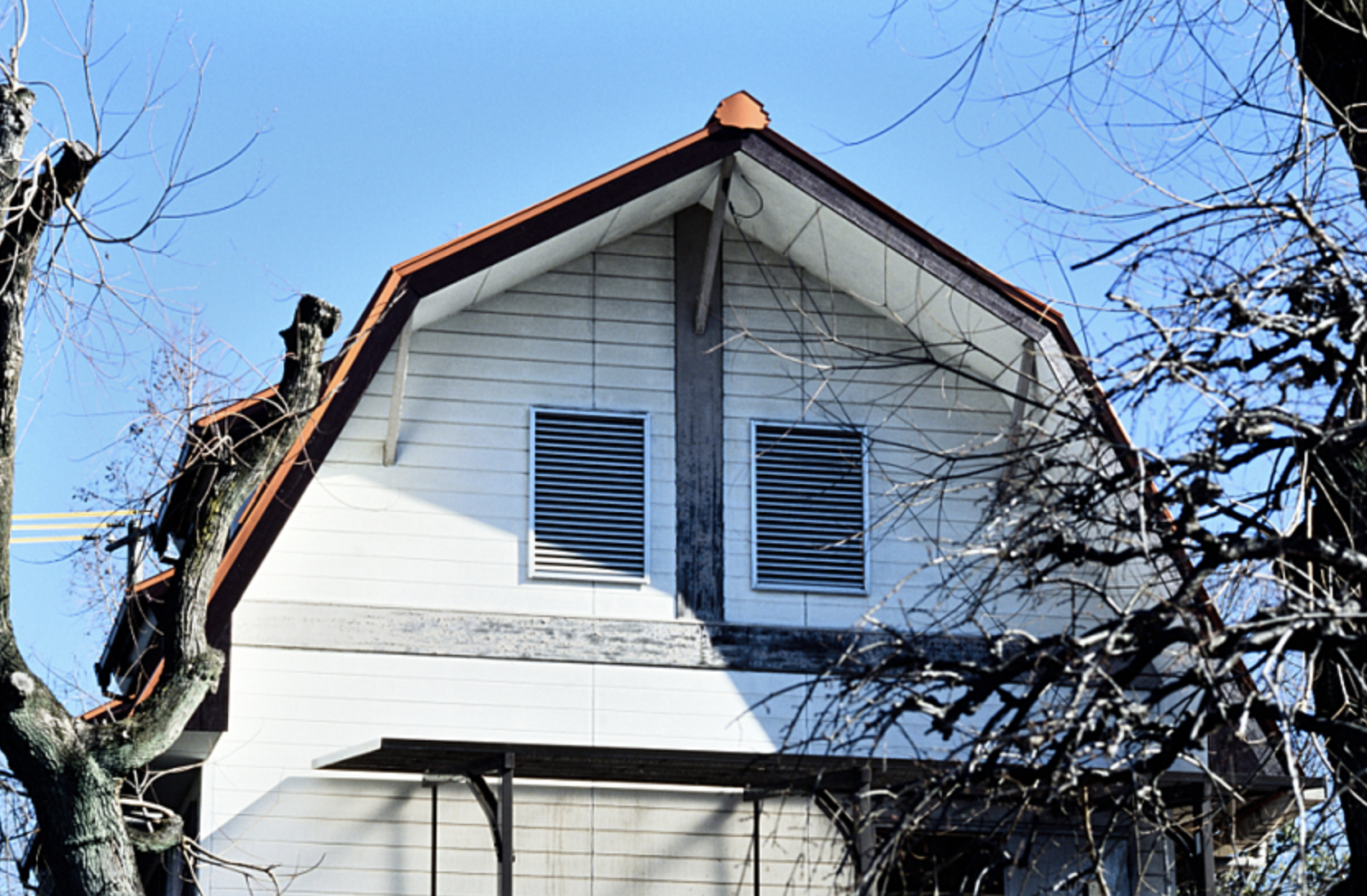 Gambrel roof with trees
